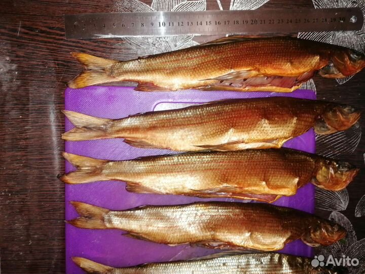 Хариус хоолного копчения малосольный