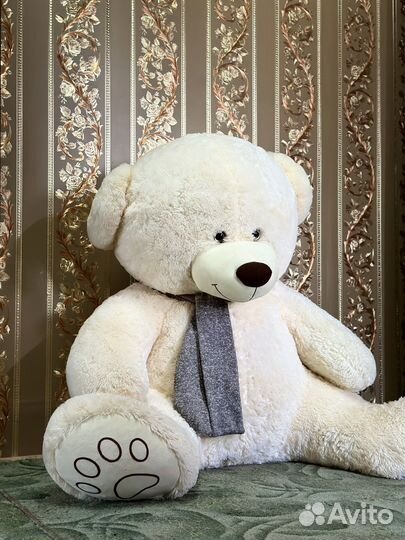 Плюшевые мишки