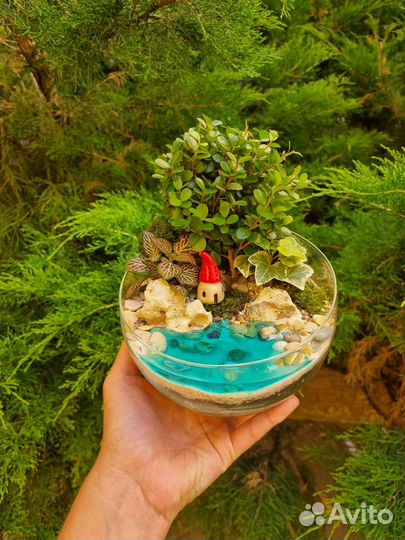Бонсай во флорариуме (размер М)