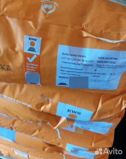 Семена кукурузы