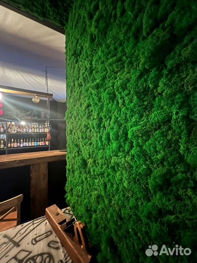 Озеленение помещений