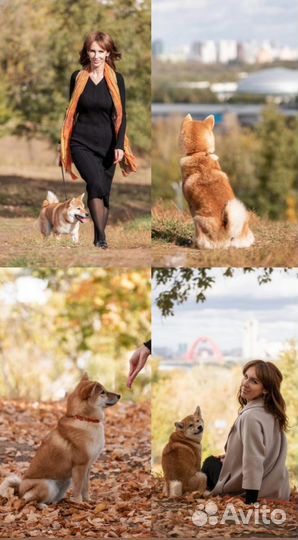 Фотограф- анималист