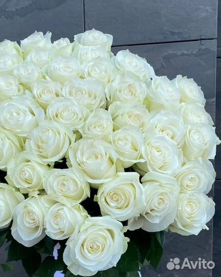 Розы / Цветы с доставкой