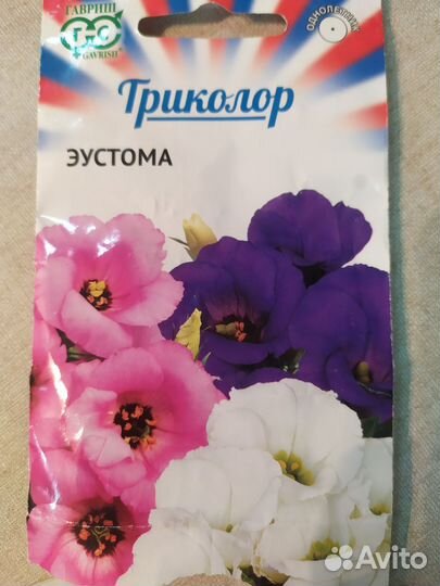 Эустома комнатная (детка)