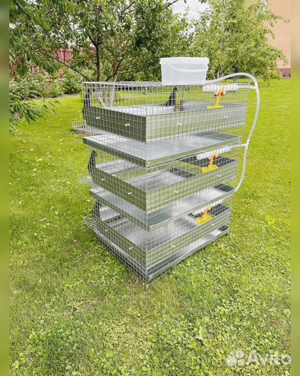 Клетка для перепелов на 90 голов