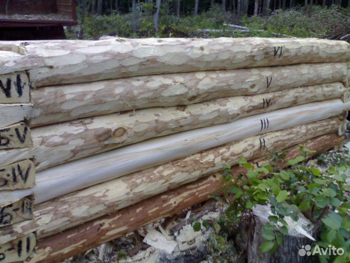 Дрова любые