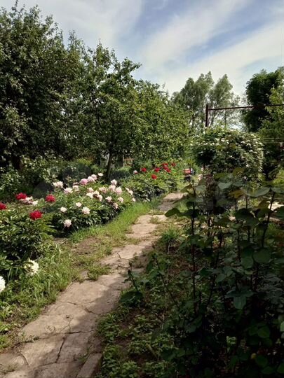 Дача 24 м² на участке 7 сот.