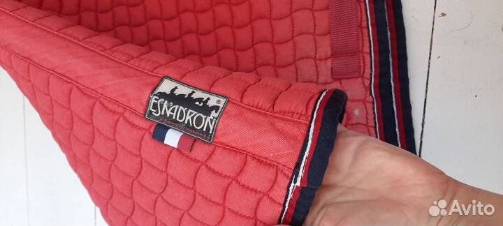 Вальтрап eskadron