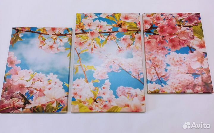 Модульная картина Сакура 101*53см