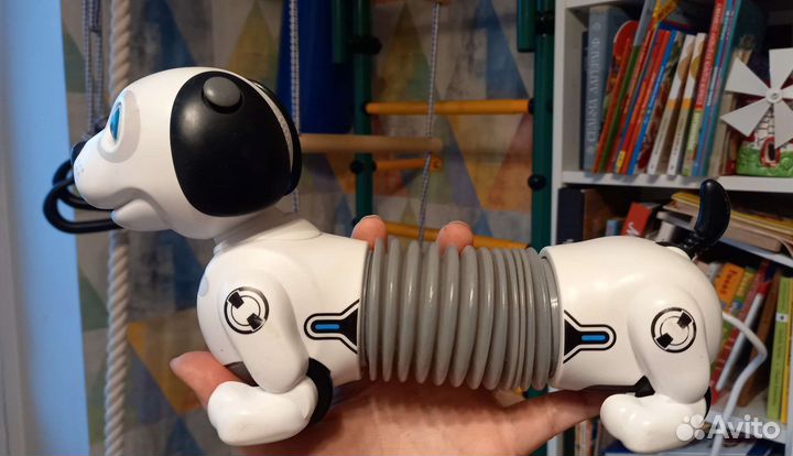 Собака робот Дэкел джуниор