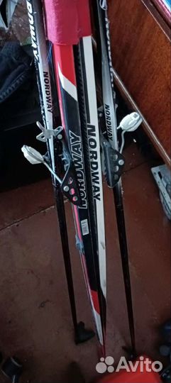 Беговые лыжи