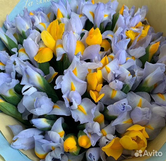 Букет Тюльпаны Цветы свежая поставка Волгоград