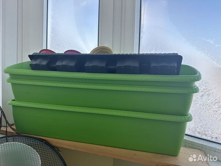 Контейнеры для растений