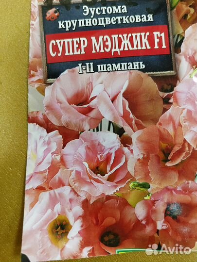 Эустома крупноцветковая - живой букет