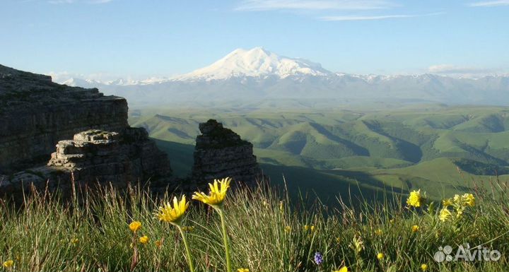 Go в Кавказ Мин Воды 7 ночей