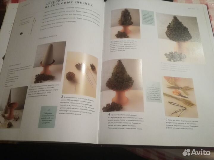 Современная флористика