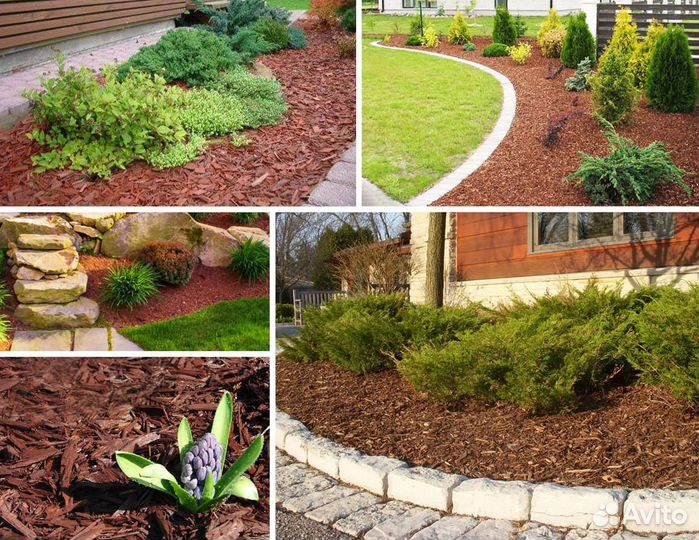 Кора сосны (мульча сосновая)