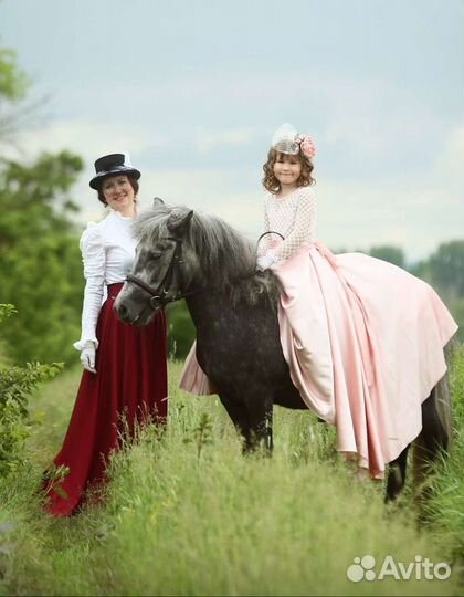 Фотосессии с лошадьми