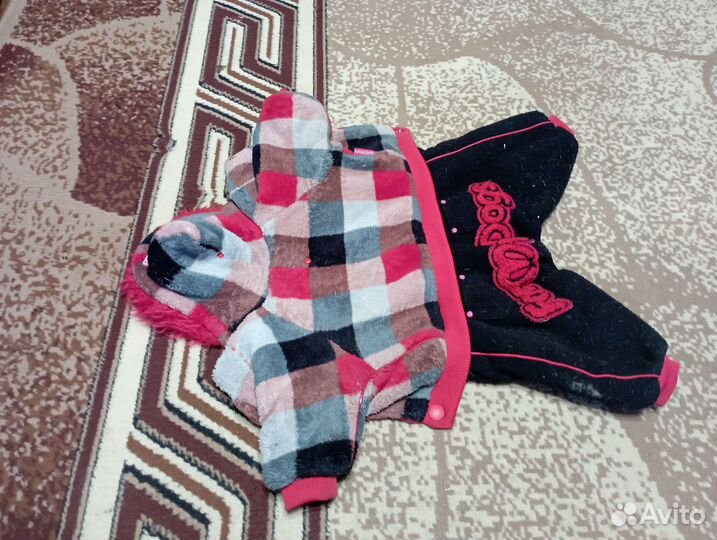 Одежда для маленьких пород собак