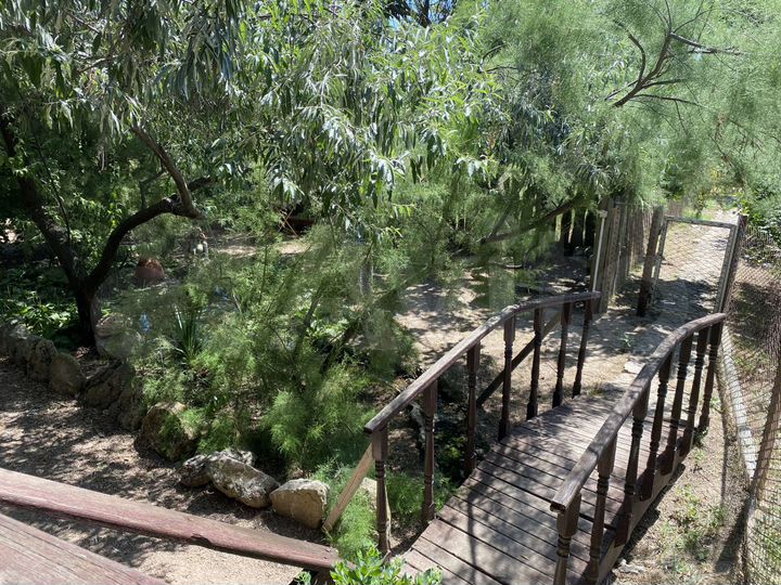 Дом 50 м² на участке 20 сот.