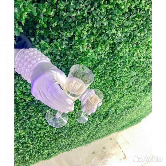 Фотозона зеленая интерактивная стена с шампанским