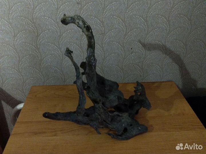 Коряга большая