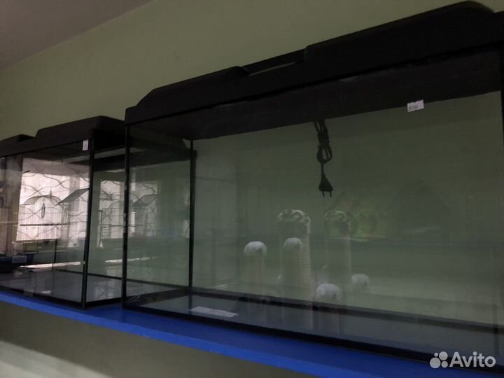 Аквариум