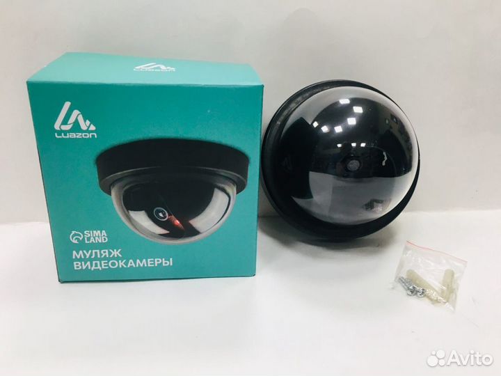 Муляж купольной камеры