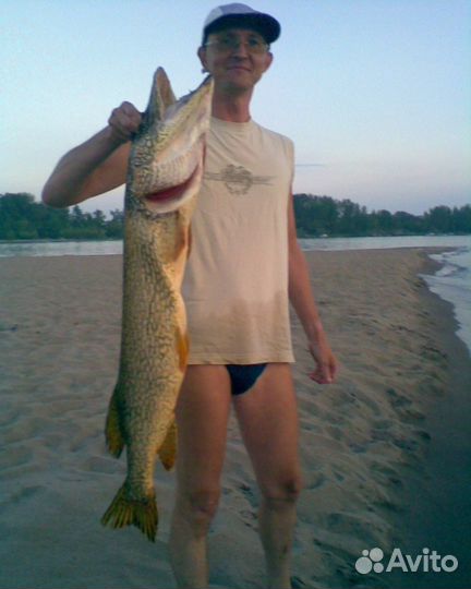 Аренда катера. Прогулки по Волге на лодке. Рыбалка