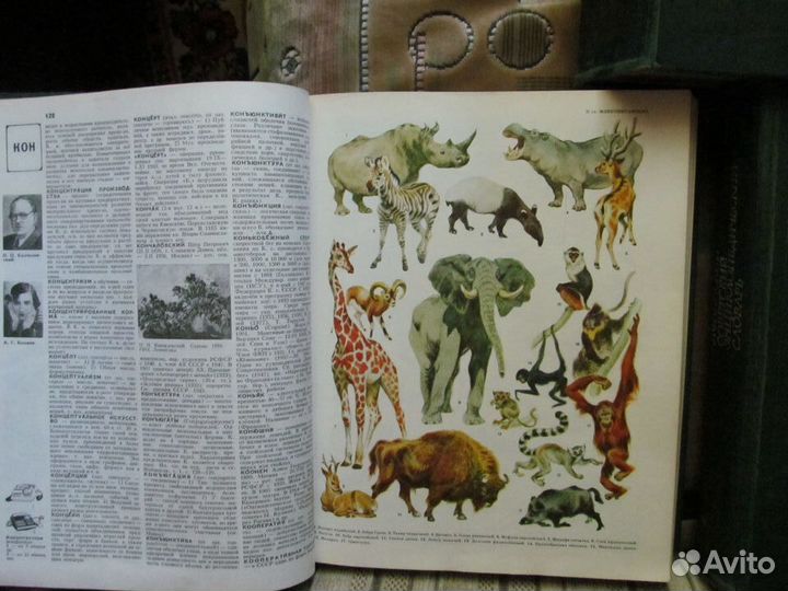 Советская энциклопедия в 3-х томах