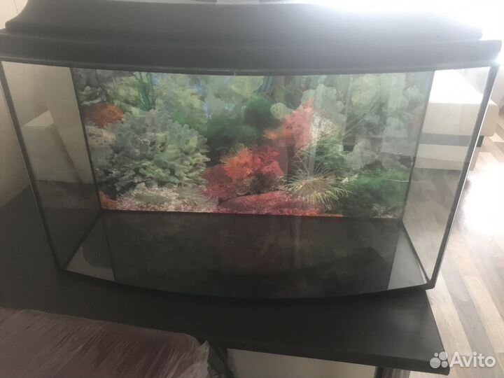 Аквариум б/у