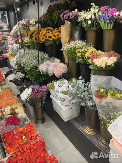 Роза одноголовая Оптом и в розницу