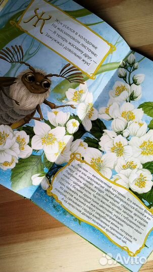 Цветочная азбука