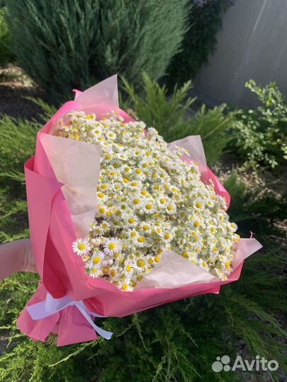 Букет ромашек