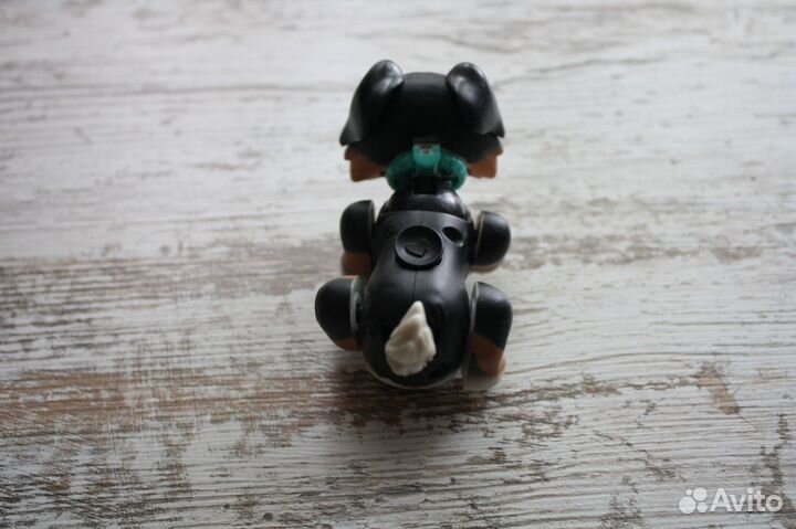 Карманная собачка