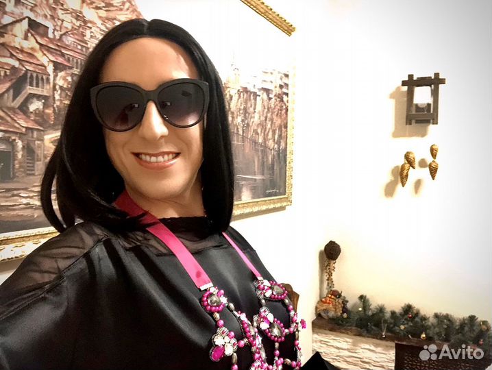 Ведущий-певец, диджей, пародист