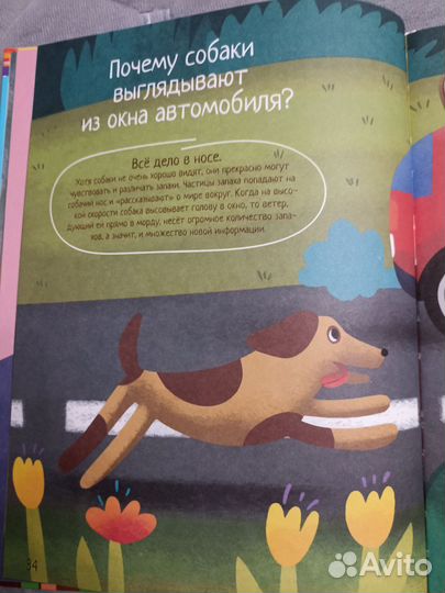 Энциклопедия для детей Почему