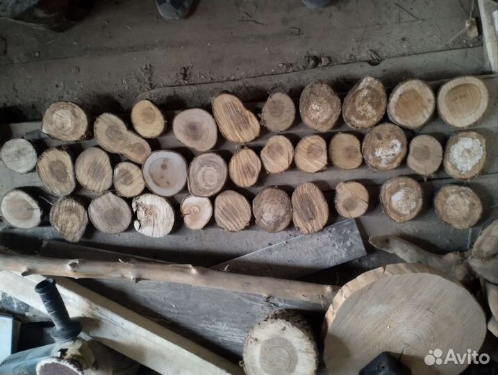 Древесные спилы