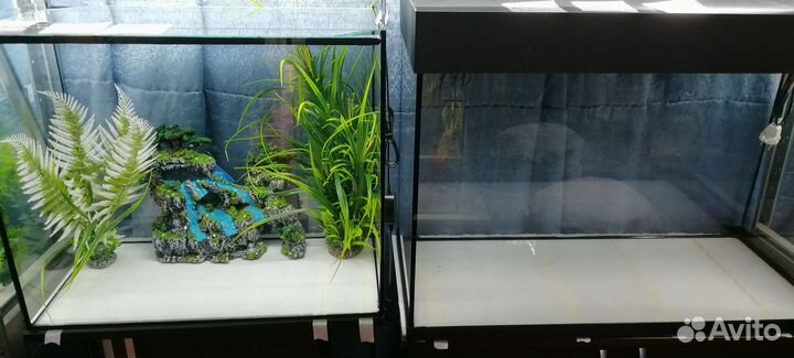 Аквариумы