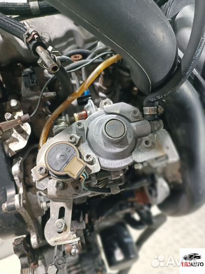 Тнвд, Peugeot 406 1999