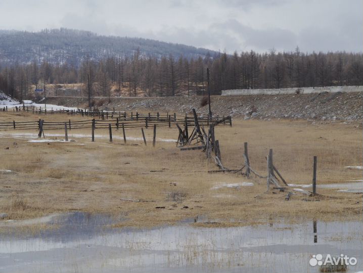 Объектив Canon EF 35-135 mm 4-5.6 USM универсал