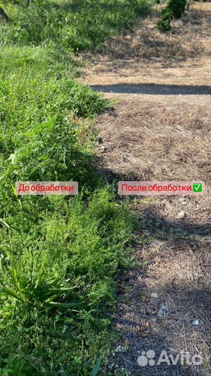 Гербицид железнодорожный от сорняков Торнадо 540