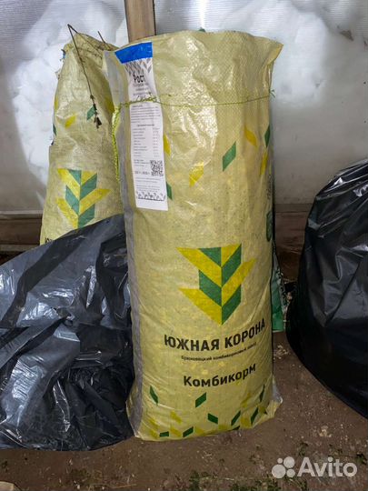 Куриный помет