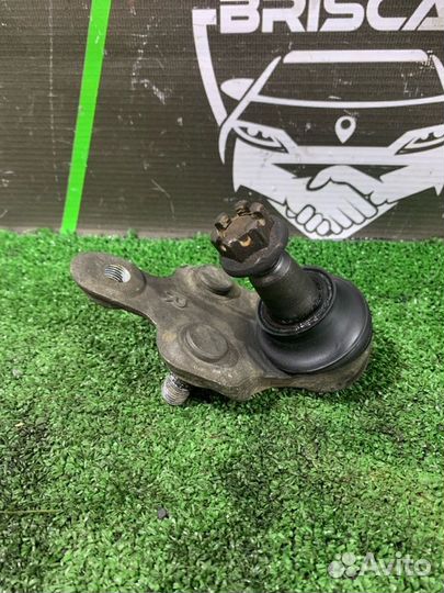 Шаровая опора передняя правая Toyota Kluger V