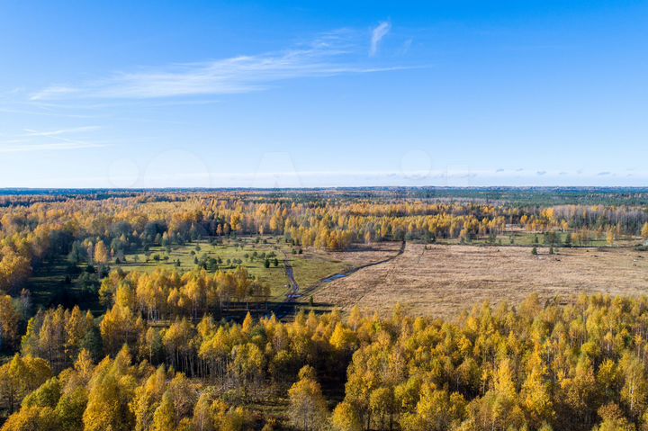 Участок 9,8 сот. (СНТ, ДНП)