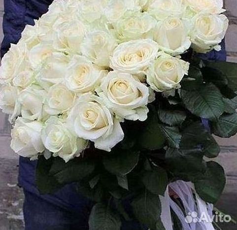 Высокие Розы Гиганты Доставка Круглосуточно