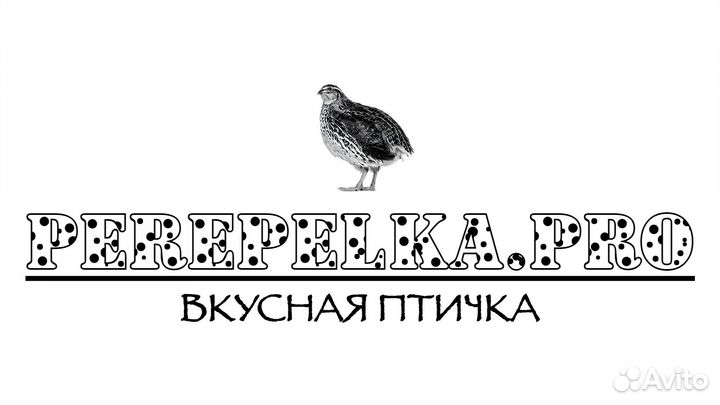 Яйца перепелиные домашние, тушки перепелов
