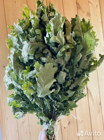 Веники для бани: дубовые, березовые