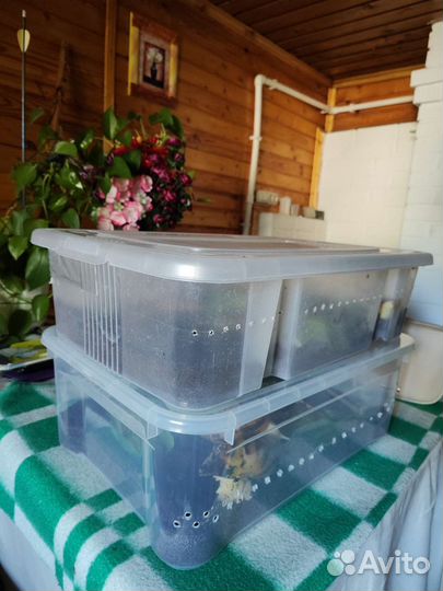 Контейнер пластиковый 25 литров