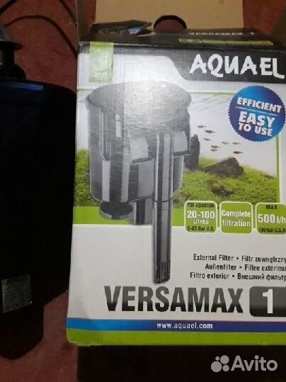 Улитки криветки